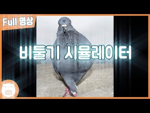 비둘기가 되어 세계정복 - 피죤 시뮬레이터 [웁tv]
