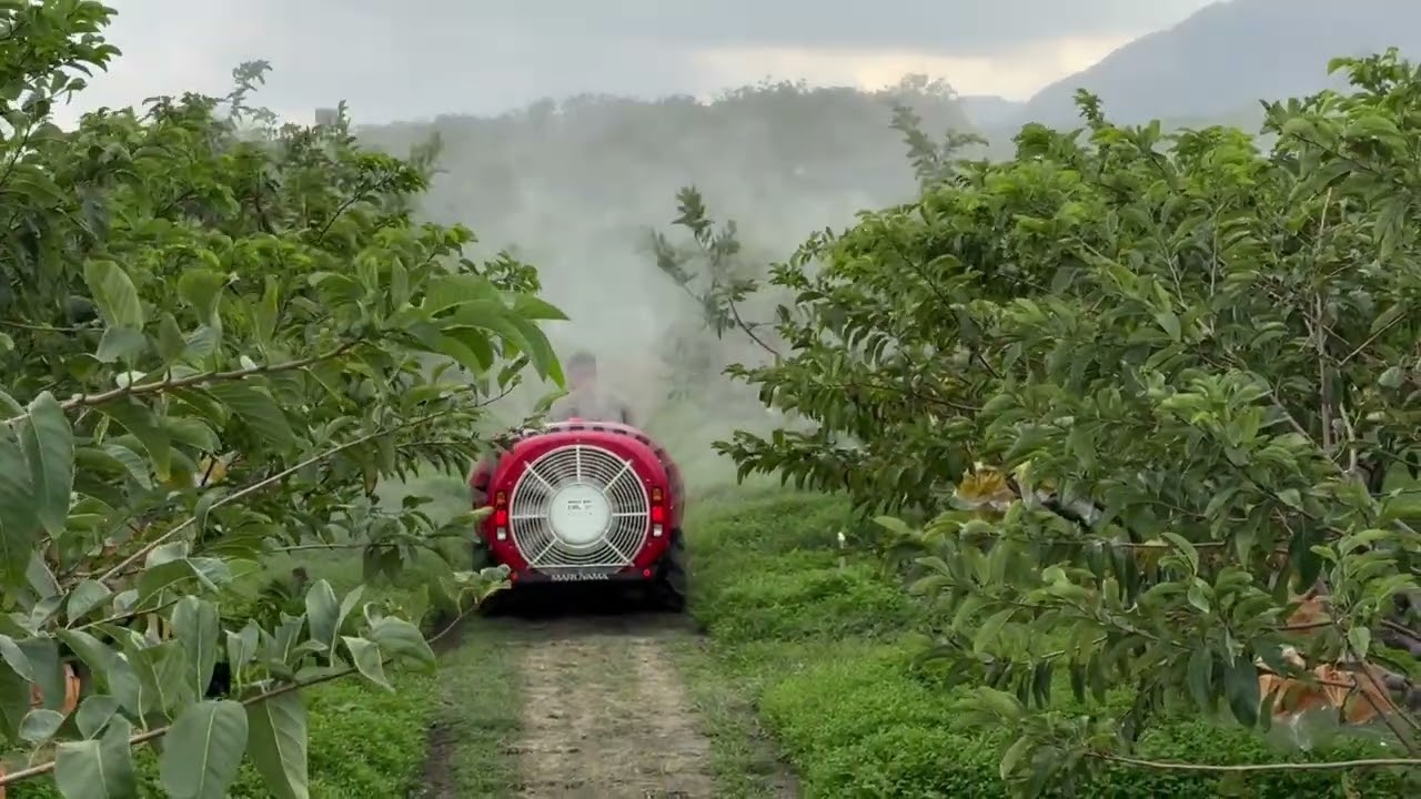 Maruyama 日本丸山噴霧車SSA-Z650 釋迦園Part 1. - YouTube