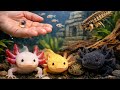 From Tiny Egg to Deadly Predator – My Axolotl Journey