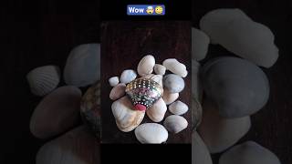 painting on seashell ⛵🌊 😲😳 #viral #art #ytshorts