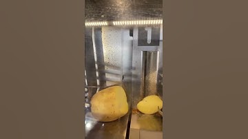 R.I.P Potato🥔... Tiktok from ionsatisfy