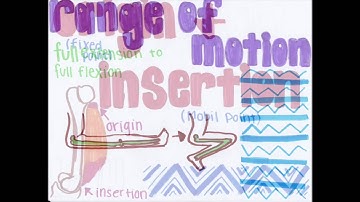 Modeling Project-Synovial Joints