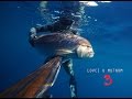 Spearfishing Croatia 2016