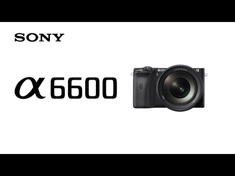 SONY A6600 CUERPO