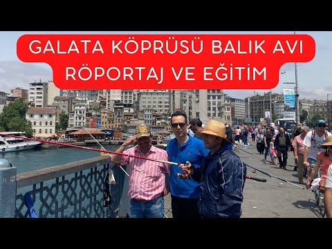 Galata Köprüsü istavrit Avı - Galata köprüsünde nasıl balık tutulur?