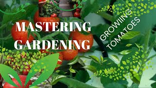 "From Seed to Splendor: Mastering Gardening Growing Tomatoes"