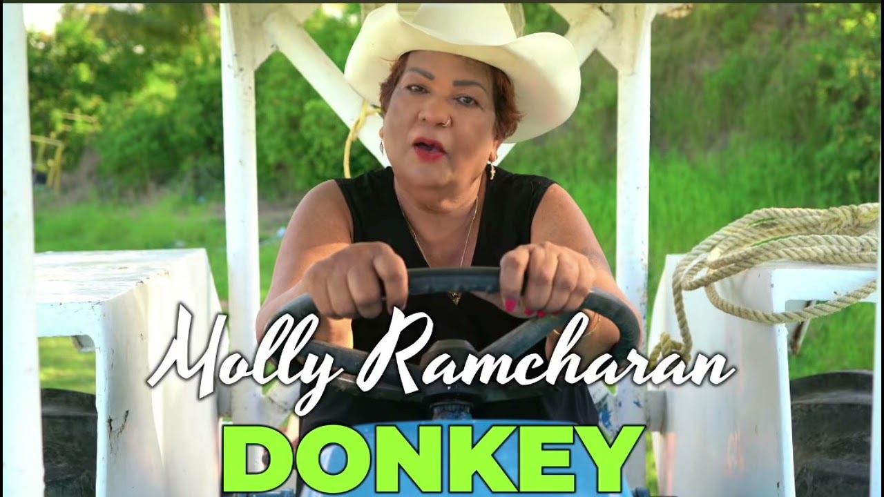 Molly Ramcharan - Donkey [Official Music Audio (]2026Chutney Soca)