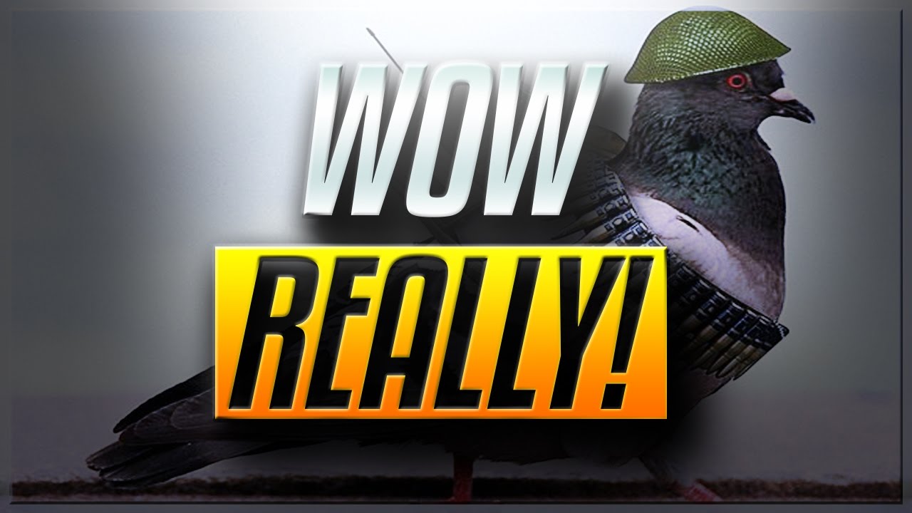 Battlefield 1 WAR PIGEON multiplayer gameplay