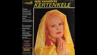 Neşe Karaböcek - Kertenkele 1984 (Remastered) Resimi