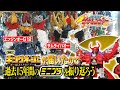 ミニプラ キングオージャー が届いたので過去15年間の ミニプラ を振り返ろう！【獣拳戦隊ゲキレンジャー】