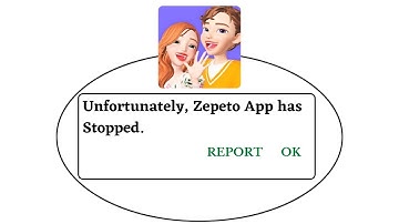Unfortunately,Zepeto Has Stopped Error in Android - App Not Open Problem | AllTechapple