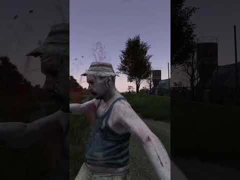 When Your Teammate has No Plan in DayZ