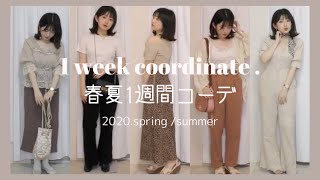 【1 week coordinate 】