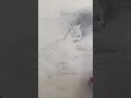 Cat drawing tutorial #art #drawing