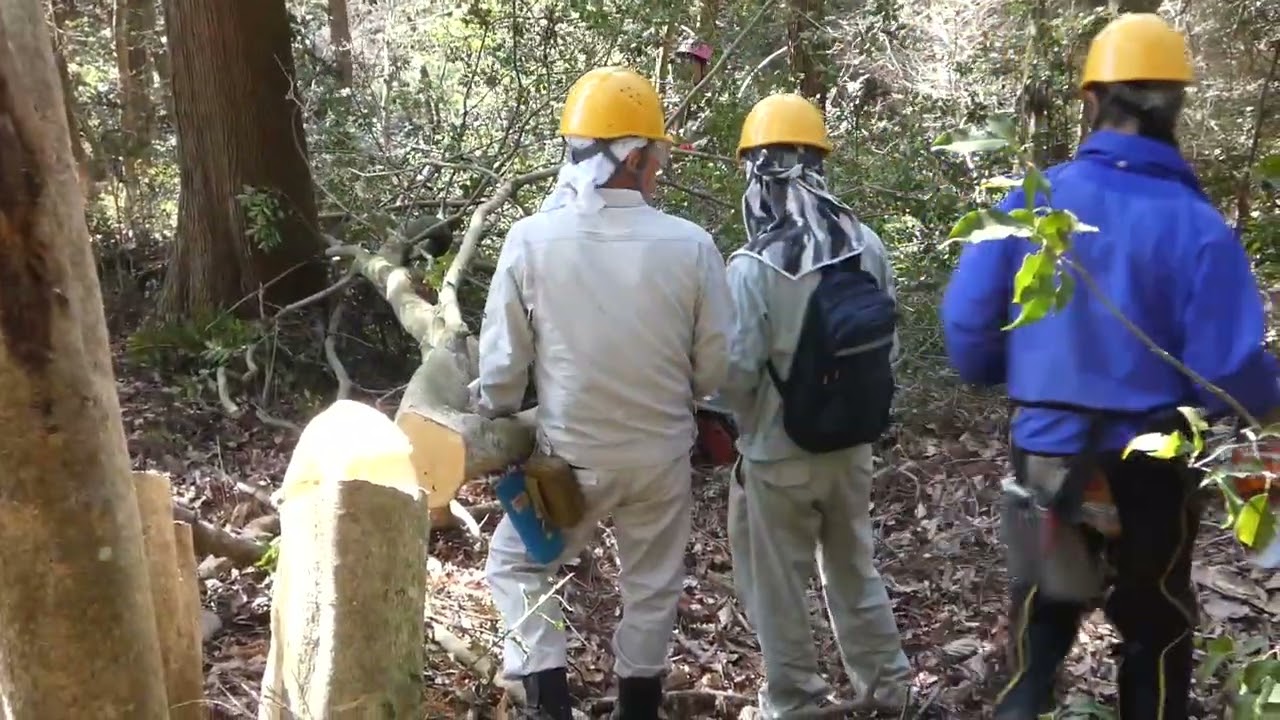 2026-2-22杤原の活動