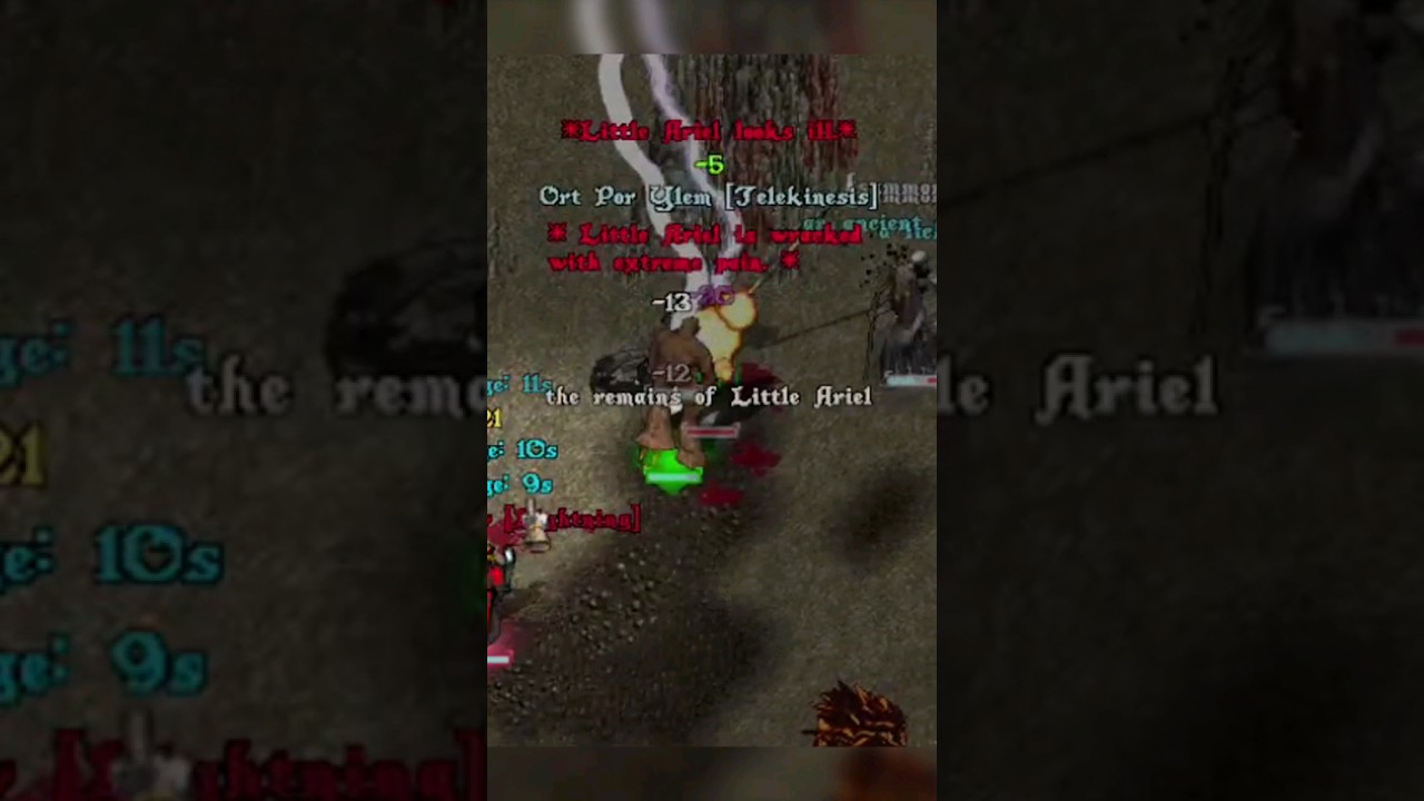 UO Outlands - Little Ariel gets deleted 