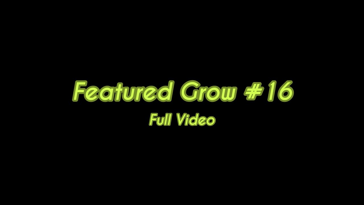 FEATURED GROW #16: FULL VIDEO: STRAWBERRY-AKEIL and DOUBLE DUTCH from Serious Seeds under LED