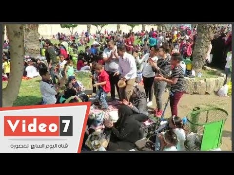 شاهد أول أغنية للفسيخ والبيض والرنجة