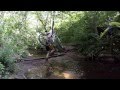 Stream Crossing of the France Park Mountain Bike Trail