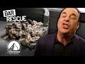 Bars that went from bad to worse  super compilation  bar rescue