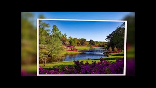 Clean Professional PHOTO SLIDESHOW screenshot 4