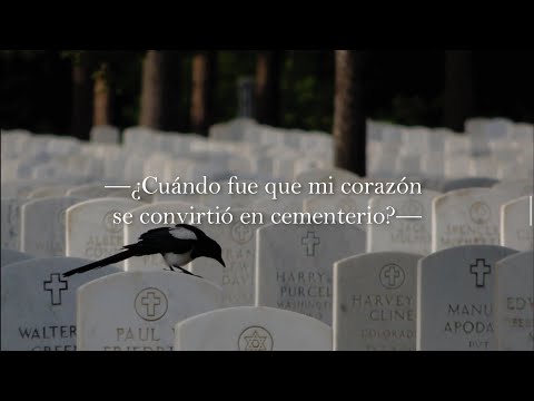 When did my heart become a graveyard? — Gilraen