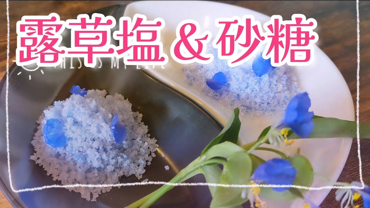 天然の青い色素で作る ツユクサで青い塩 砂糖 Youtube