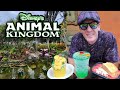 Wild adventures and earth month eats at disneys animal kingdom  meeting dug on a rainy day