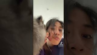 Dj Telolet X Goyang Dumang  Mirip Sama Chef Renata  shorts