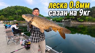 🔥 «Думал карп… А там ОГРОМНЫЙ сазан! 🎣» Рыбалка на удочку и поплавок. #fishing#рыбалка#낚시#automobile