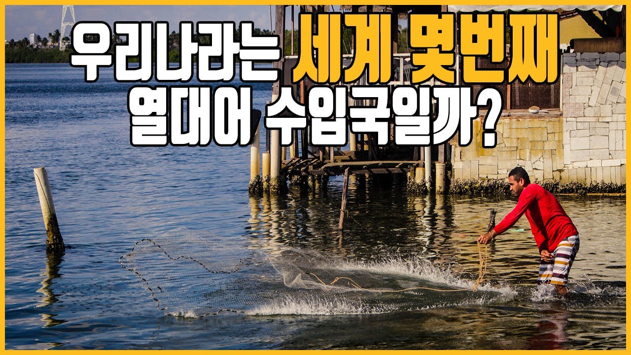 5000억 규모의 세계 열대어 수출시장을 움직이는 큰손들!!! [애니몰로TV]