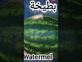 أغنية البطيخة نجومي