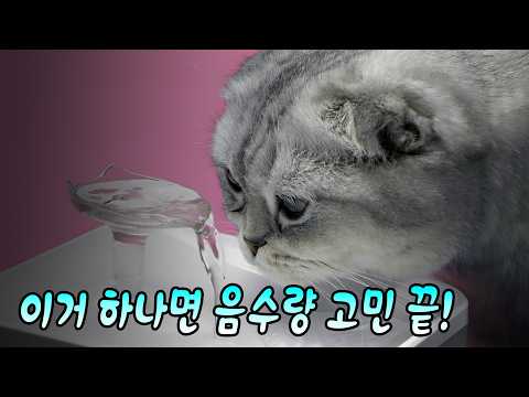 고양이 음수량 고민이라면? 하이드라케어 제대로 알아보기
