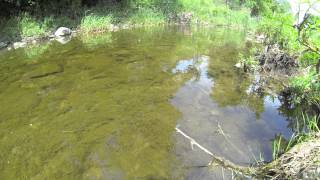 4K resolution video test (GoPro HD Hero 3) 15fps