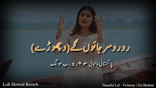 Naseebo Lal Punjabi Slowed Reverb Song 2023 Vichoray New Slow Song Zoi Hashmi New Punjabi Song