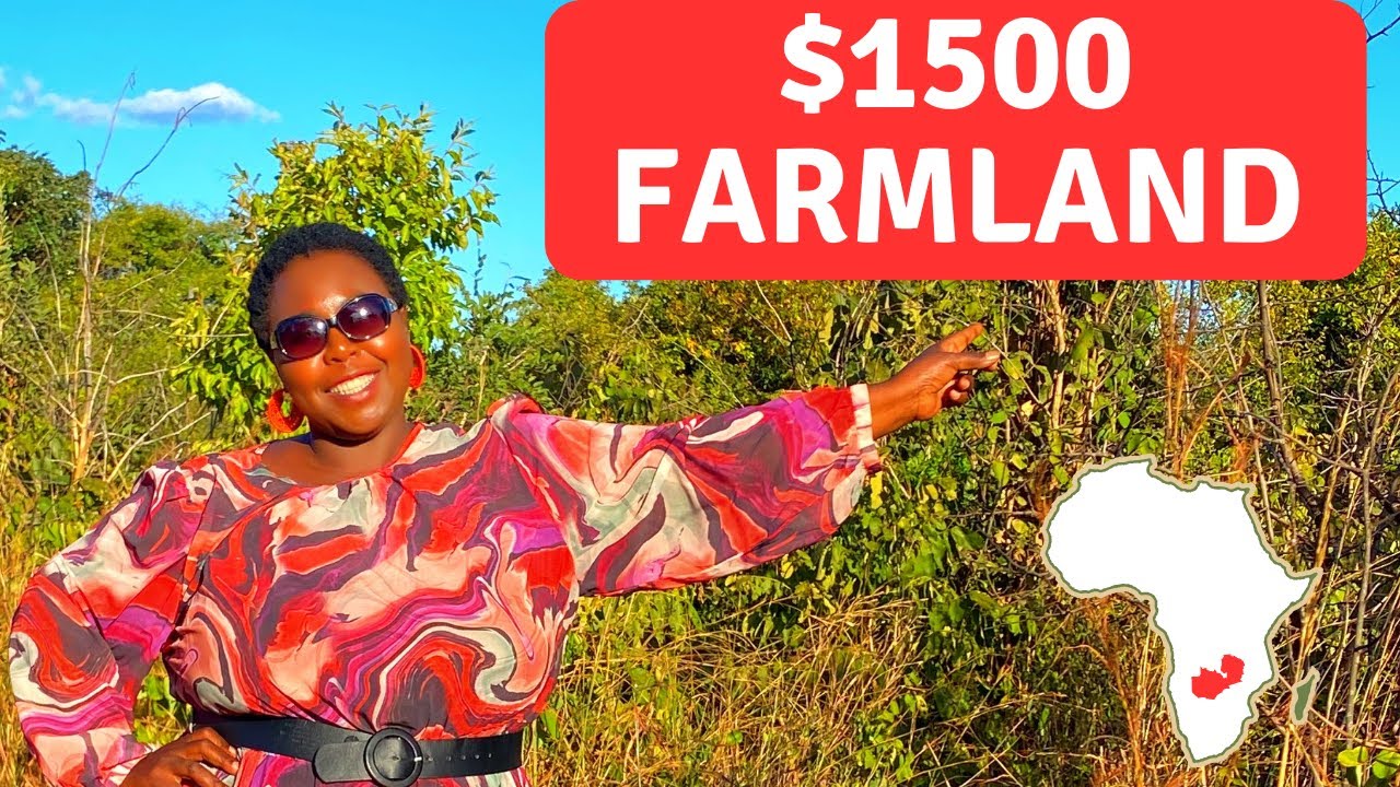 Virgin Farmland For Sale in Chaminuka Chisamba Zambia | $1500 |  2024 