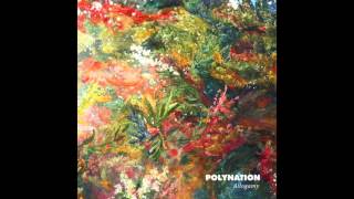 Polynation - Damp
