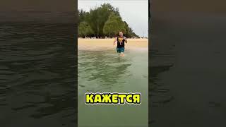 Все прочитал! Почти... #тай #sleduck #питомник #IRL #shorts #челлендж #мемы