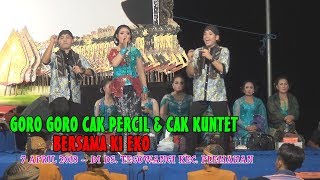 GORO GORO CAK PERCIL CS - 7 APRIL 2018 DI DS  TEGOWANGI KEC  PLEMAHAN