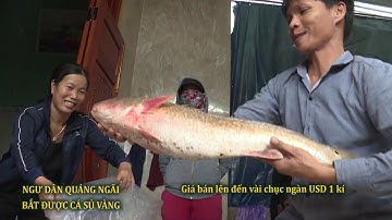 CÁ SỦ VÀNG TIỀN TỶ | CHUYỆN LẠ QUẢNG NGÃI | HUỲNH VĂN THƯƠNG 76 | HD | 7.1.2019
