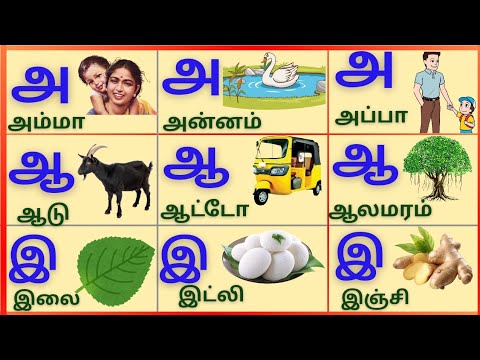 Tamil alphabets/அஆஇஈ/உயிர்எழுத்துக்கள்/Uyireluthukkal @PEEKABOO-ff8wq #uyireluthukkal