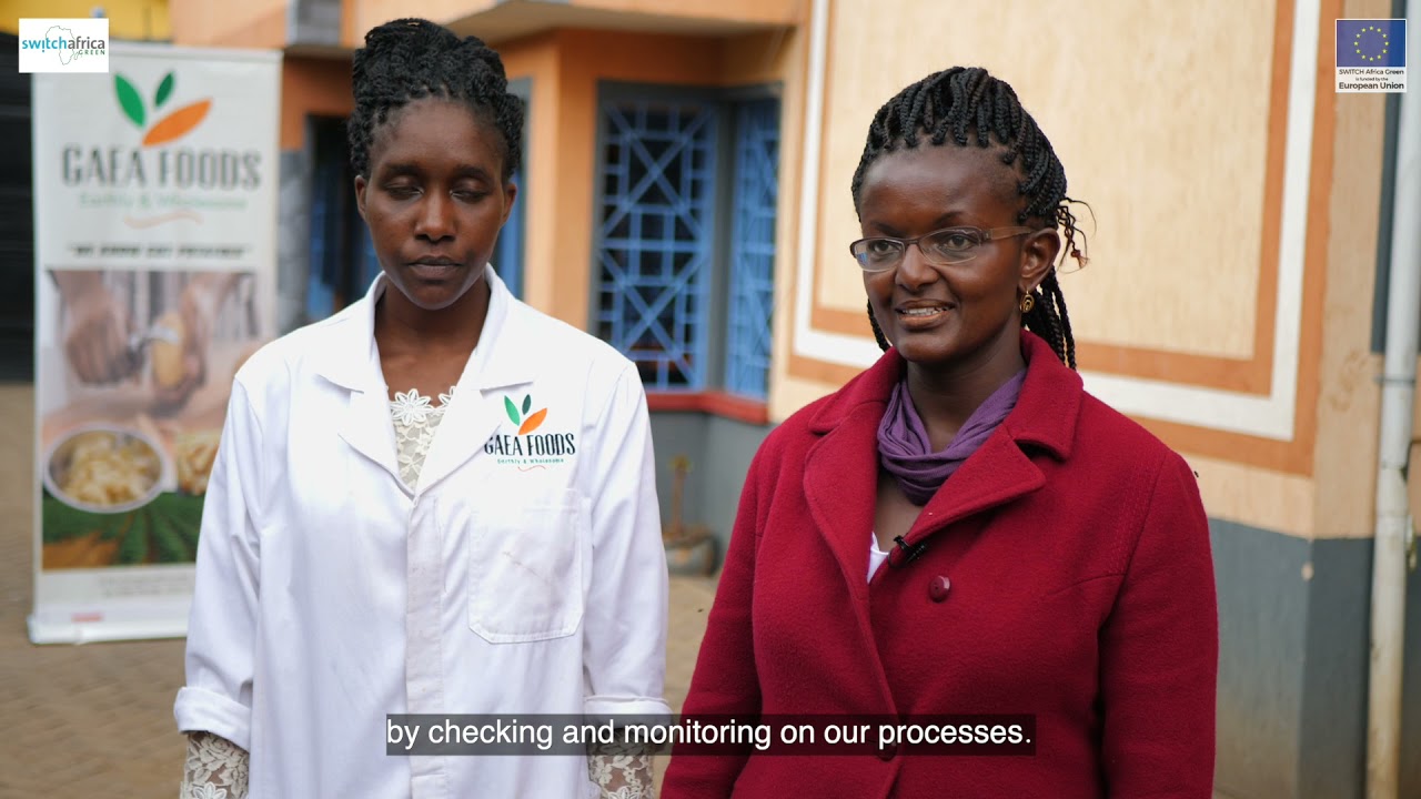 Switch Africa Green II Phase