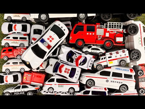 100キッズゴーゴー - YouTube