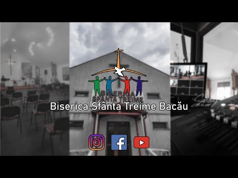 De ce le merge bine celor rai│BST