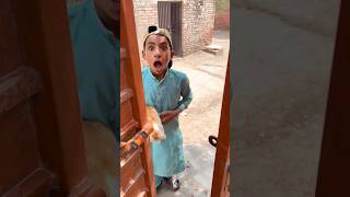 Cute billi ko rescue krliya 🐈 | cat ka tree house kb banay?