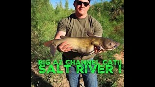 BIG AZ channel cat!! Salt river!