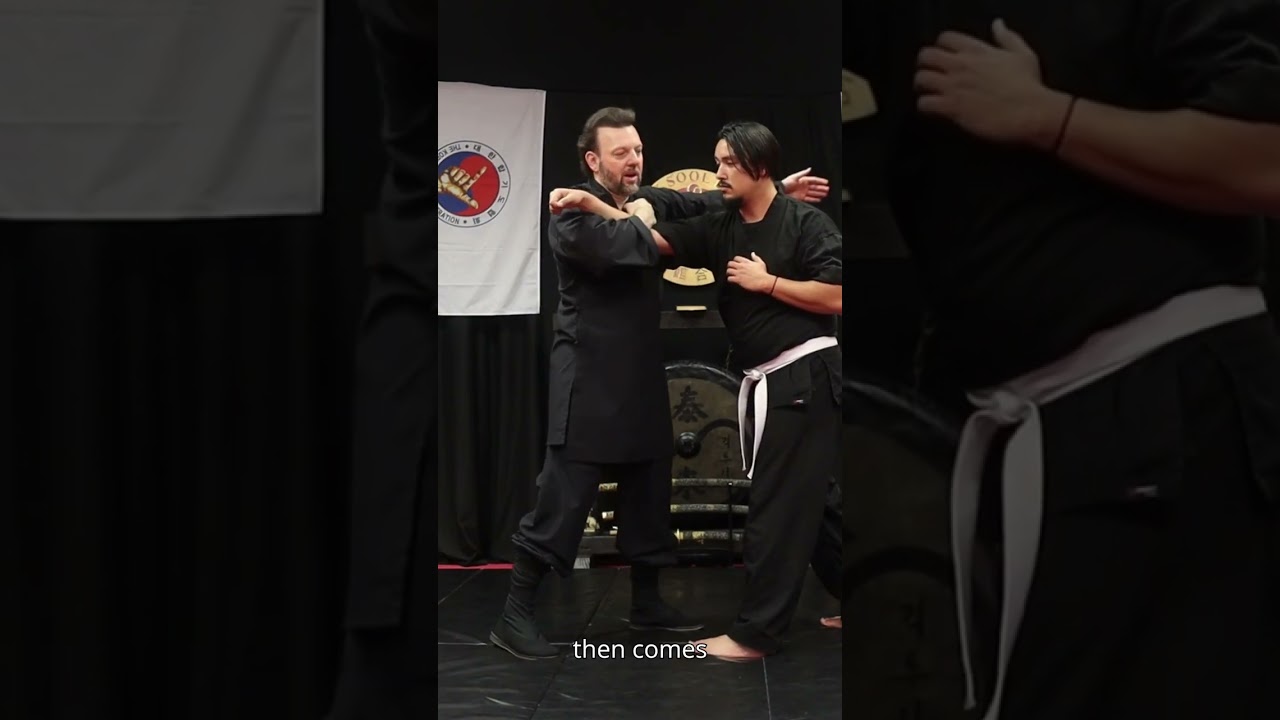 Lightning Jujutsu Takedown of a Right Cross