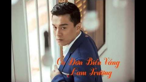 [Audio] 8. Cô Đơn Biễn Vắng   Lam Trường