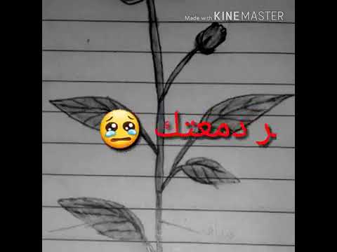 من كوارث البشر أنهم قد يمحون كل تاريخك الجميل مقابل آخر موقف لم يعجبهم