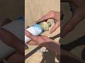 BTS - POTATO LAUNCHER EXPERIMENT